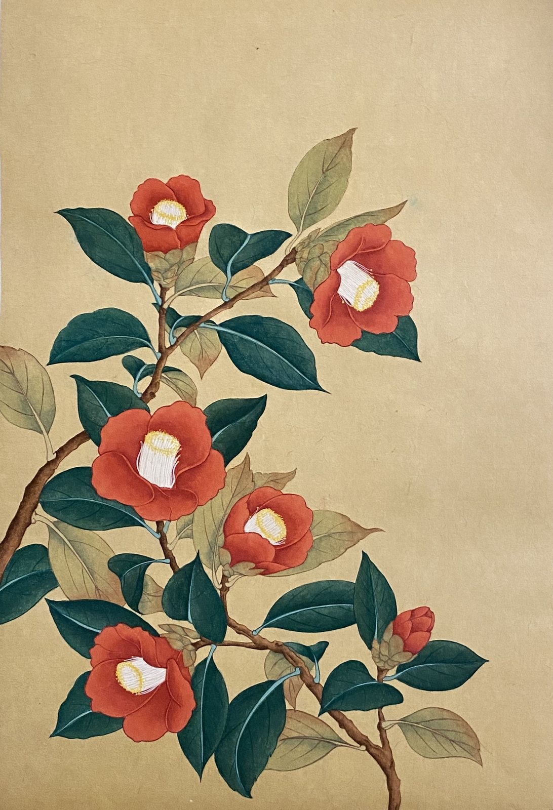 동백 — red camellias blooming on a branch