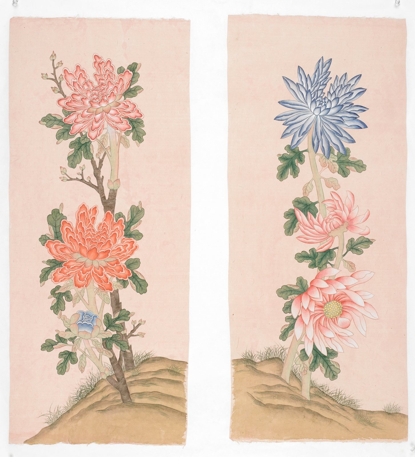 사계화 1부 — chrysanthemum panels on pink hanji