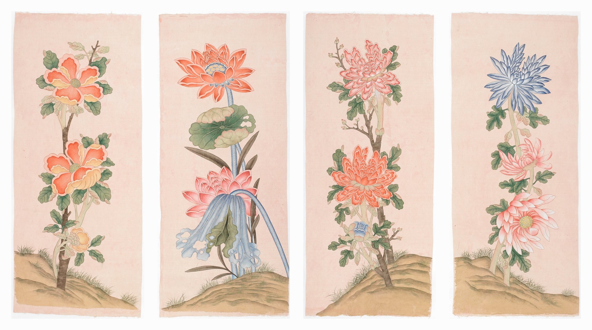 사계화 4폭 — four panels of seasonal flowers on pink-dyed hanji: camellia, lotus, chrysanthemum, chrysanthemum