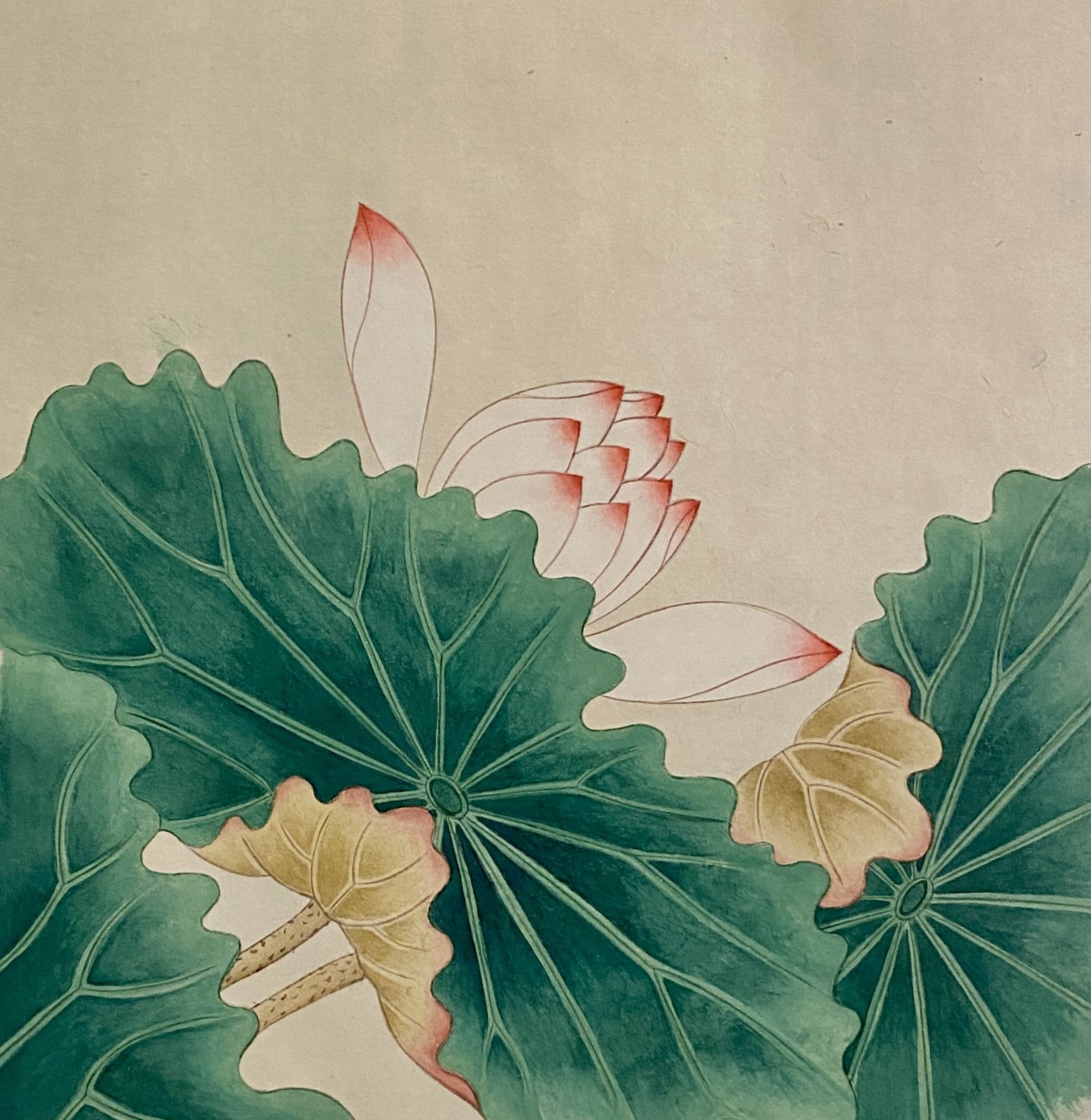 연잎과 봉오리 — close study of lotus leaves and a bud